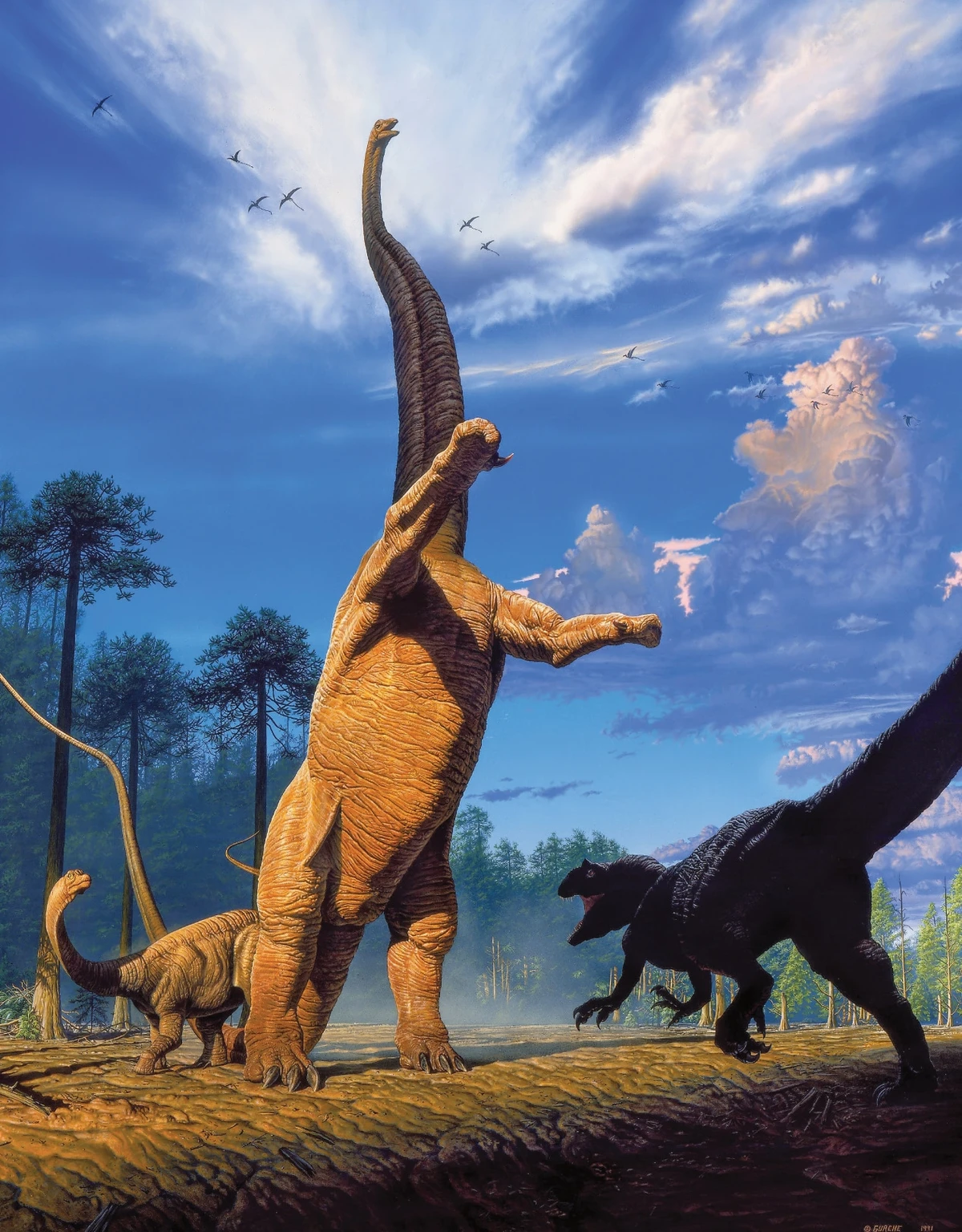 A mother Barosaurus rears five storeys onto her hind legs against a towering blue sky, shielding her juvenile from an Allosaurus advancing at right. Pterosaurs wheel in the distance above conifer forest.