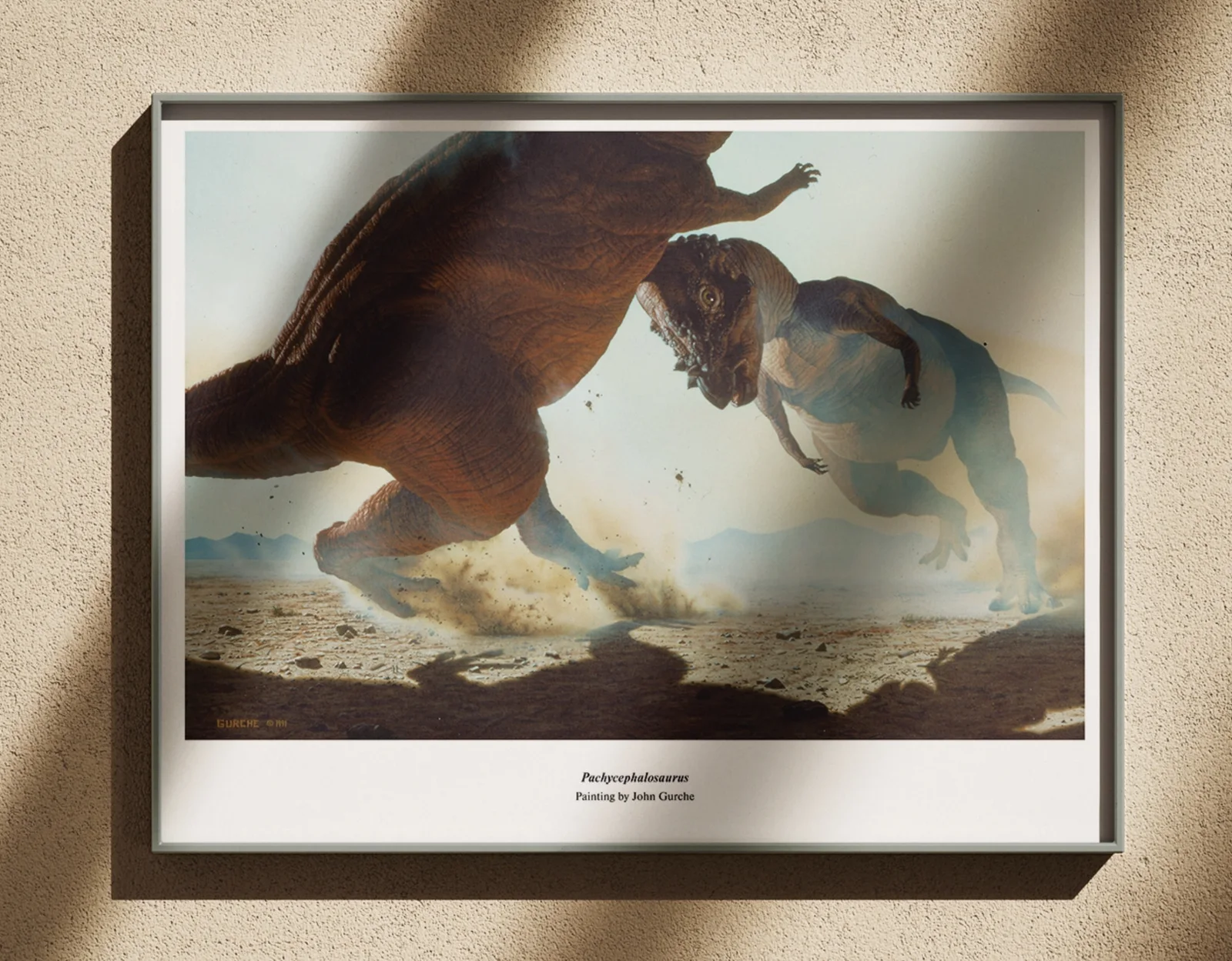 The Pachycephalosaurus painting, framed in black on a sunlit plaster wall.